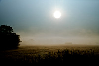 GB Fog Field