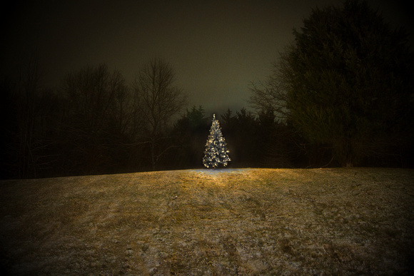Tree in Snow 2