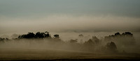 GB Fog Field2